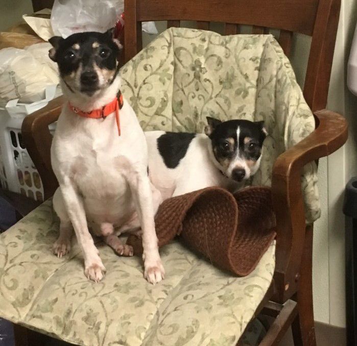 Boomer and Mooch